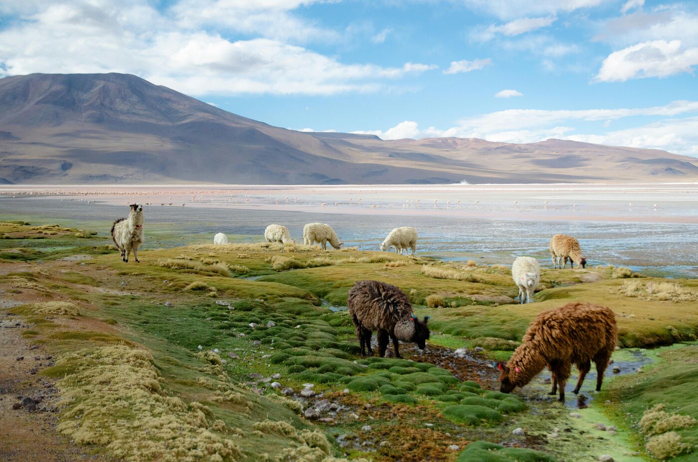 Bolivia, Isla del Sol Titicaca