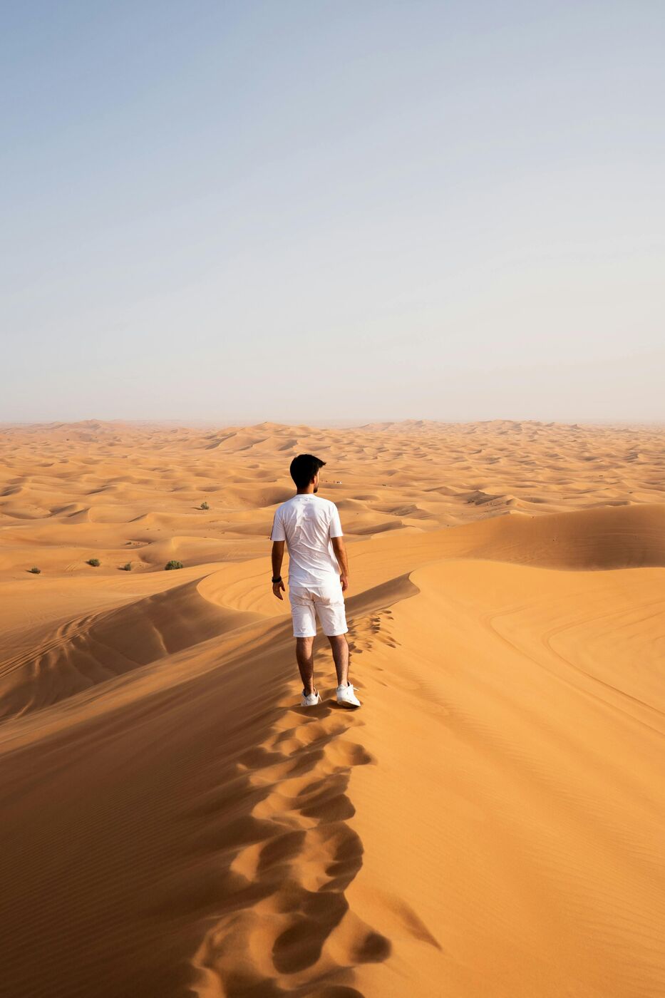 Dubái, Marina nocturna