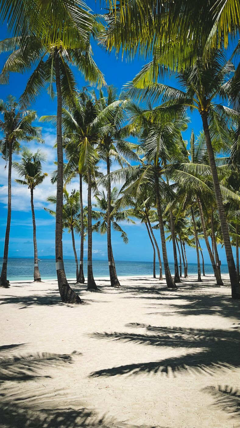 Filipinas, Terrazas arroz Banaue