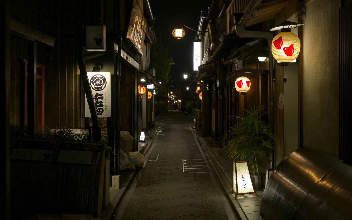 Japón, Cerezo sakura primavera