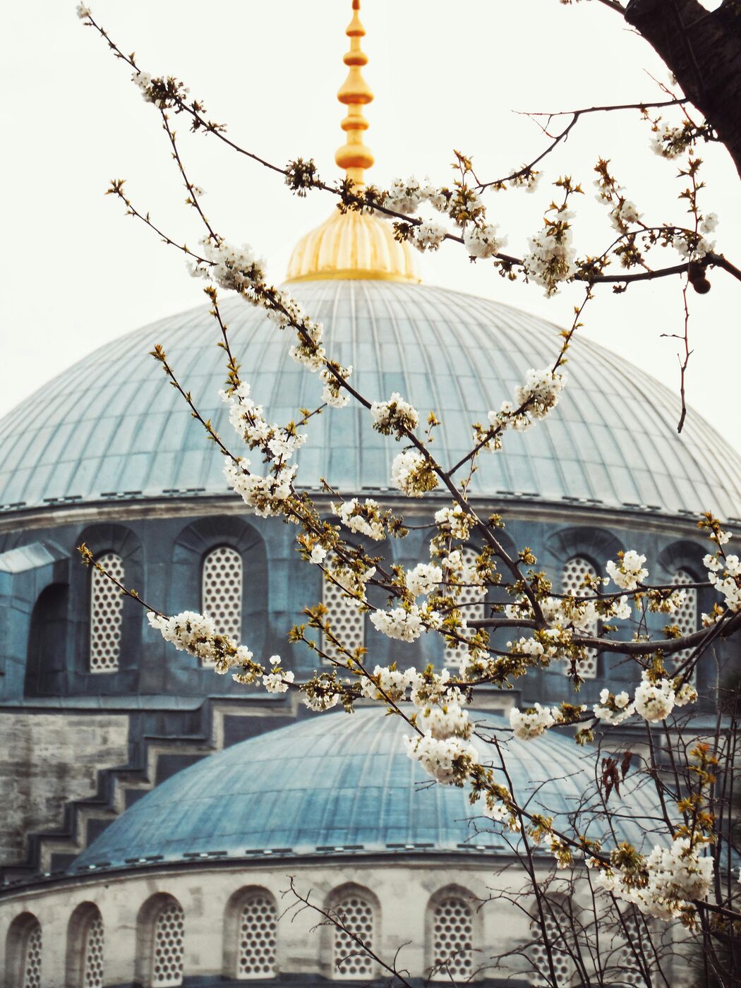 Turquía, Bazar especias Estambul