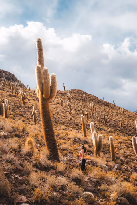 Desierto de Siloli