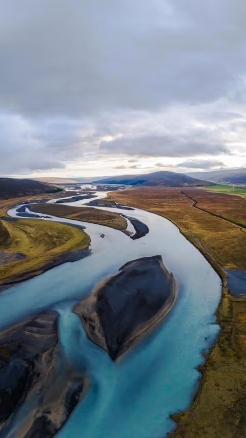 Ballenas en Húsavík