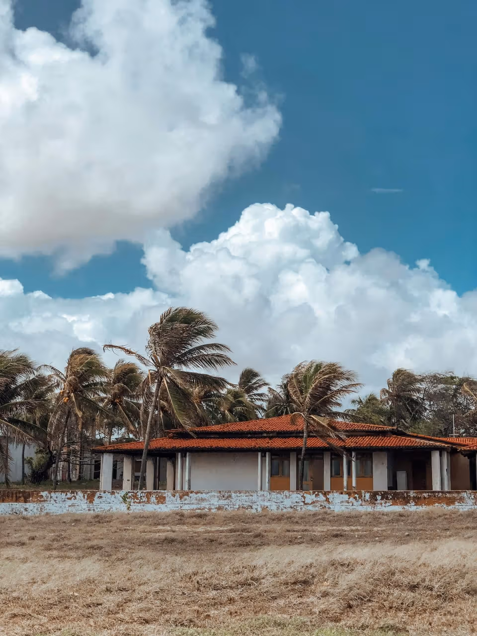 La península verde · Viajes con Amigos