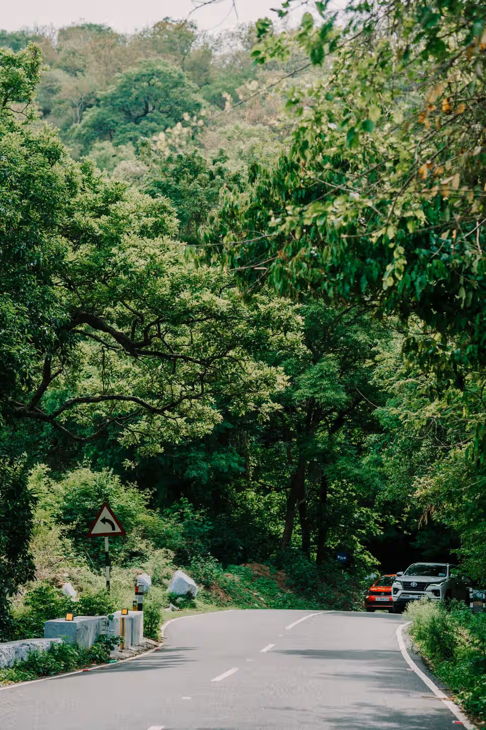Yala y los Parques de Safari · Sri Lanka